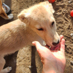 Помогать — приятно